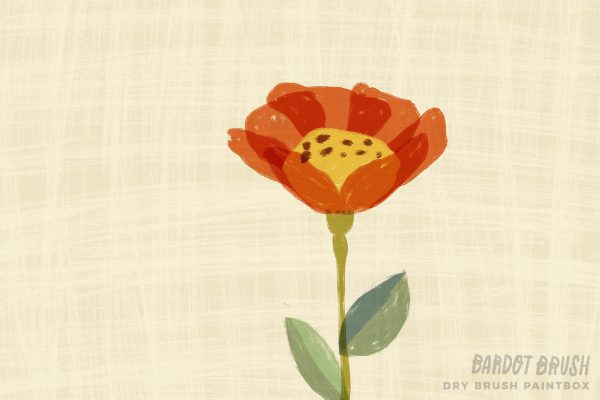 Creative Capture - Image 3